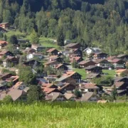 Dorf mit Gras